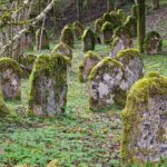 Community officer Joods erfgoed in Nederland binnen NWA-project 'Traumascapes'